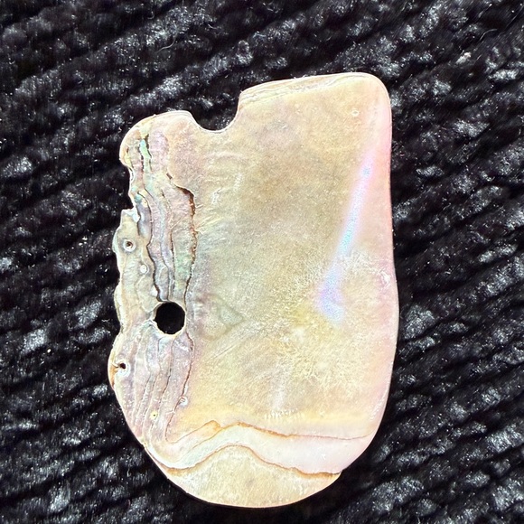 Colorful Abalone Shell Pieces - Picture 4 of 8